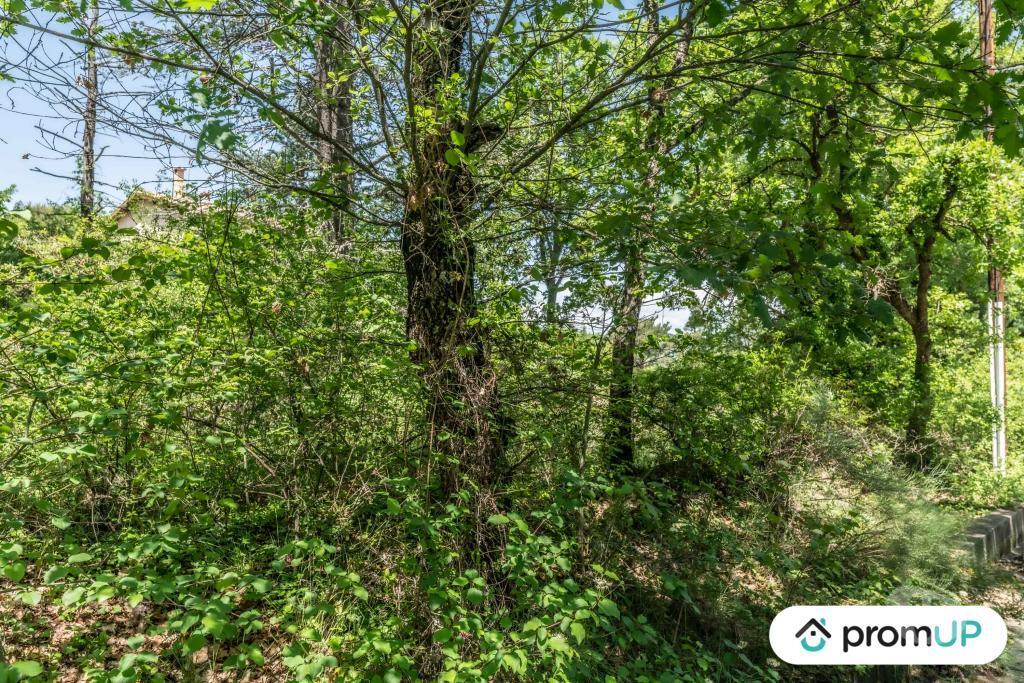 Terrain à vendre Alpes-de-Haute-Provence Estoublon - Photos Vivastreet (V5749) Terrain constructible de 1910 m2 à Estoublon