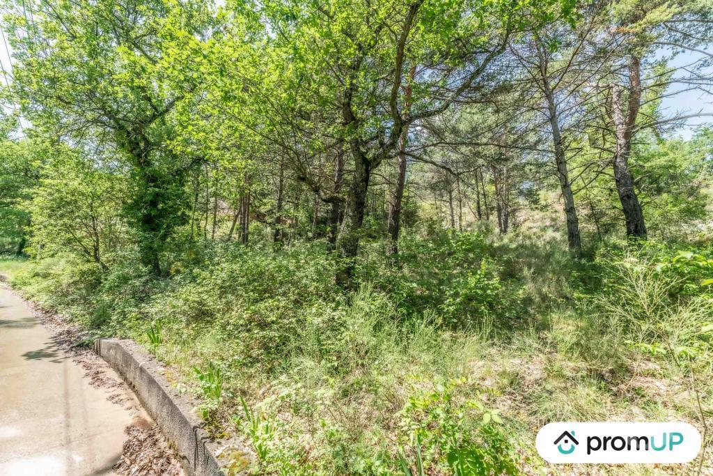Terrain à vendre Alpes-de-Haute-Provence Estoublon - Photos Vivastreet (V5749) Terrain constructible de 1910 m2 à Estoublon