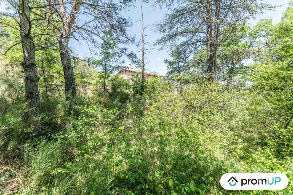 Terrain à vendre Alpes-de-Haute-Provence Estoublon - Photos Vivastreet (V5749) Terrain constructible de 1910 m2 à Estoublon