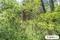 (V5749) Terrain constructible de 1910 m2 à Estoublon