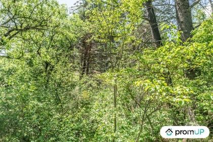 Terrain à vendre Estoublon Estoublon - Photos Vivastreet (V5749) Terrain constructible de 1910 m2 à Estoublon