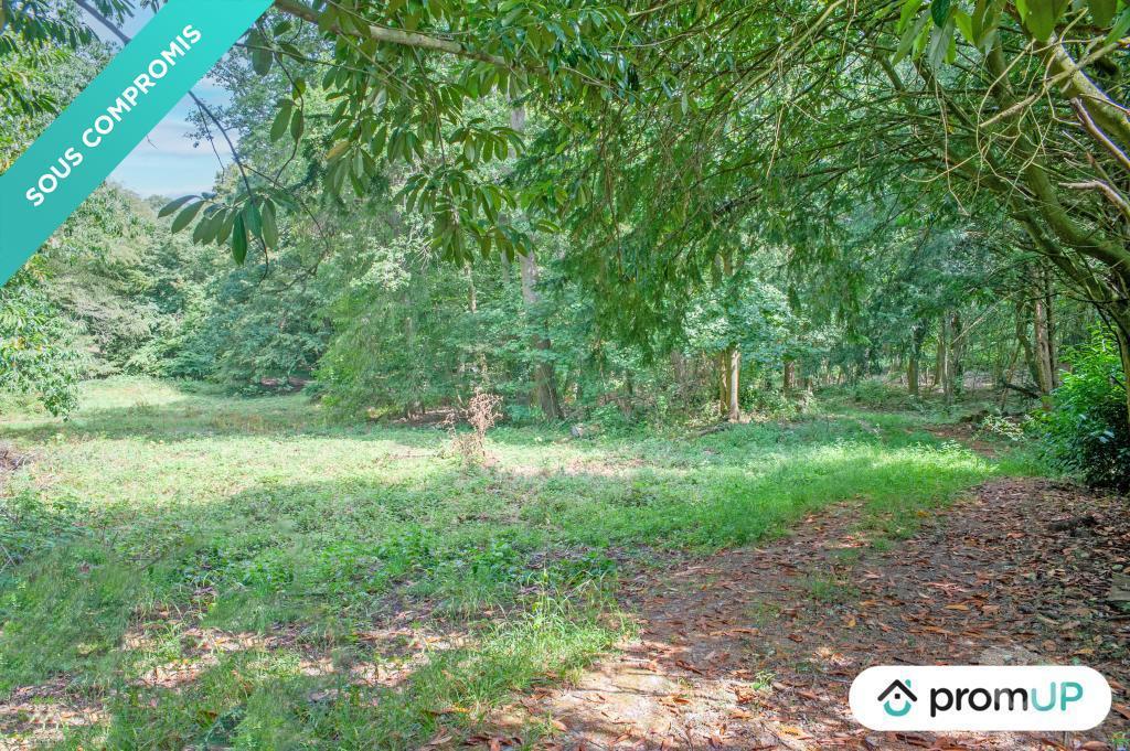 Terrain à vendre Oise Aumont en Halatte - 60300 - Photos Vivastreet (V6106) Terrain de 31 801m2 situé à AUMONT-EN-HALATTE