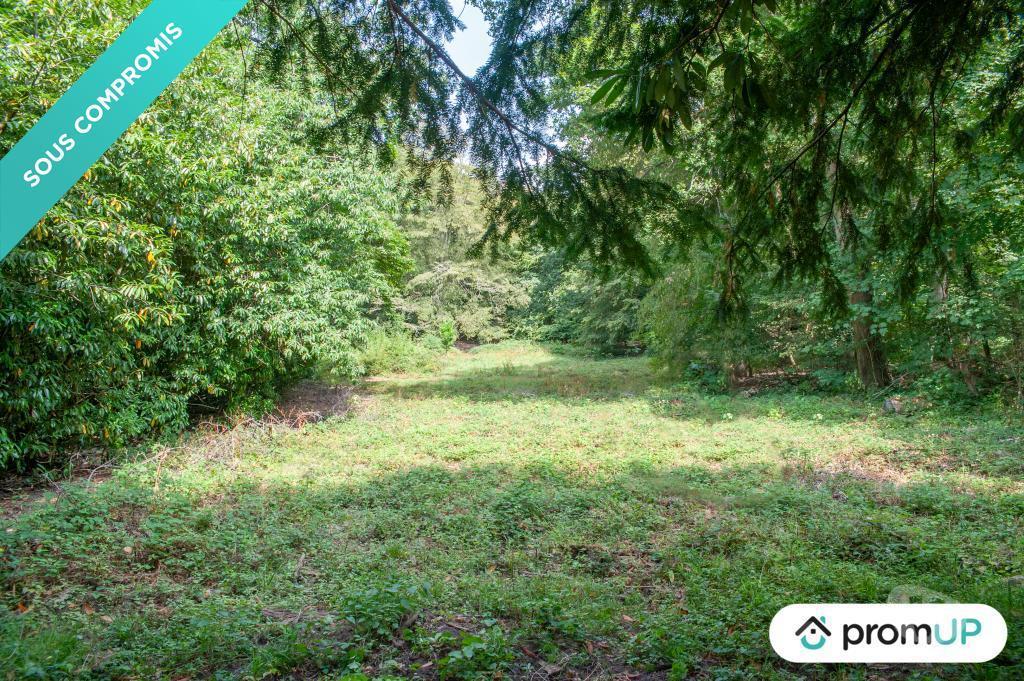 Terrain à vendre Oise Aumont en Halatte - 60300 - Photos Vivastreet (V6106) Terrain de 31 801m2 situé à AUMONT-EN-HALATTE