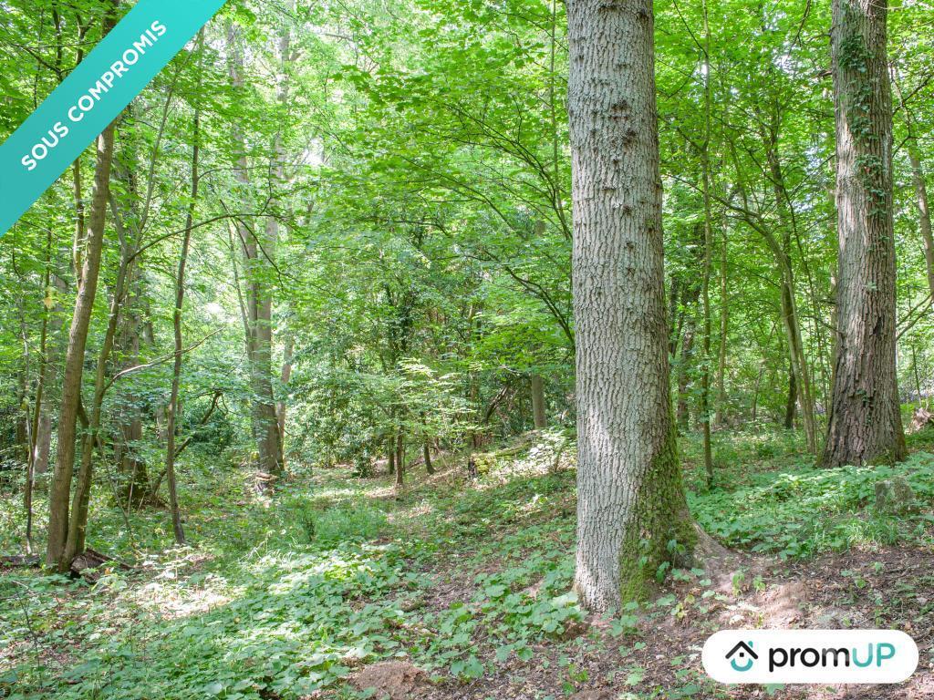 Terrain à vendre Oise Aumont en Halatte - 60300 - Photos Vivastreet (V6106) Terrain de 31 801m2 situé à AUMONT-EN-HALATTE