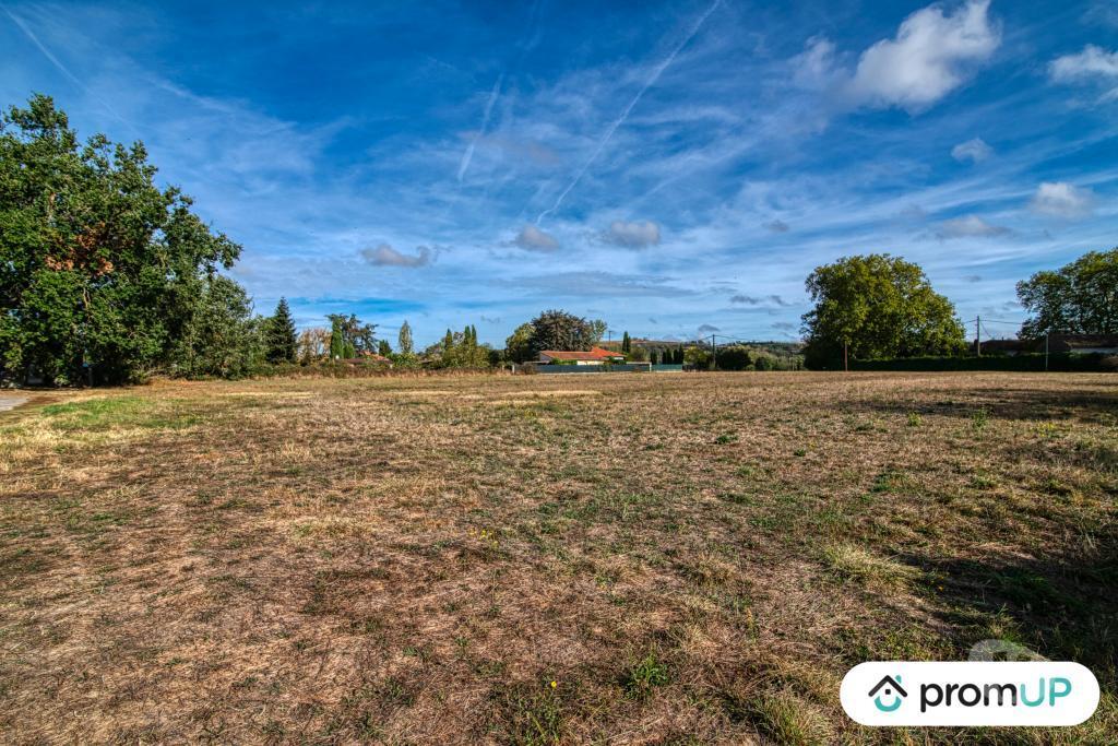 Terrain à vendre Haute-Garonne Cintegabelle - 31550 - Photos Vivastreet (V6337) Terrain constructible 8674 m2 à Cintegabelle