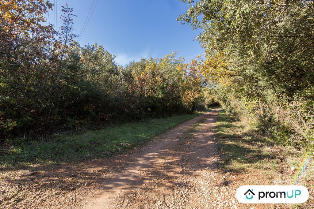 Terrain à vendre Var Le Cannet des Maures - 83340 - Photos Vivastreet (VT1120) Le Cannet-de-Maures : Terrain agricole de 9625m²