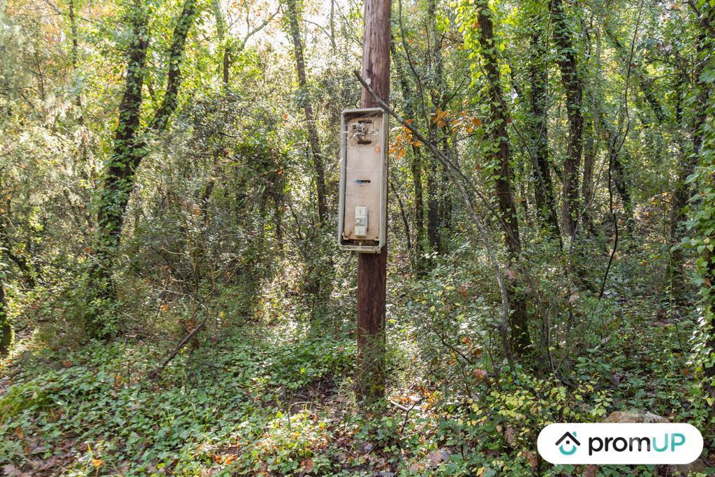 Terrain à vendre Var Le Cannet des Maures - 83340 - Photos Vivastreet (VT1120) Le Cannet-de-Maures : Terrain agricole de 9625m²