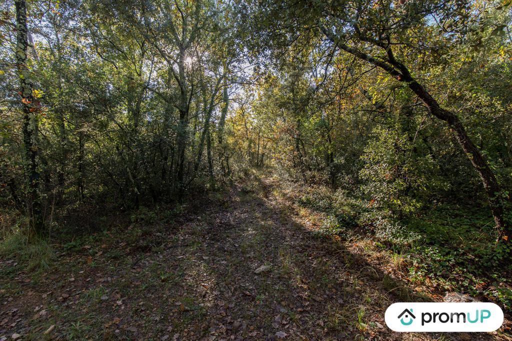 Terrain à vendre Var Le Cannet des Maures - 83340 - Photos Vivastreet (VT1120) Le Cannet-de-Maures : Terrain agricole de 9625m²