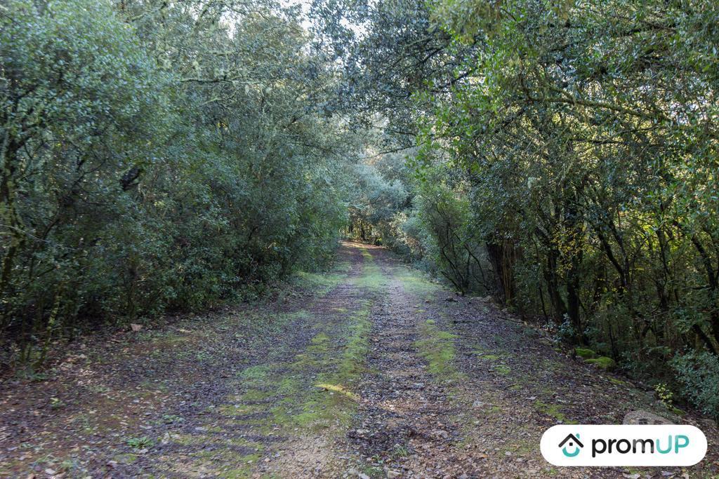 Terrain à vendre Var Le Cannet des Maures - 83340 - Photos Vivastreet (VT1120) Le Cannet-de-Maures : Terrain agricole de 9625m²