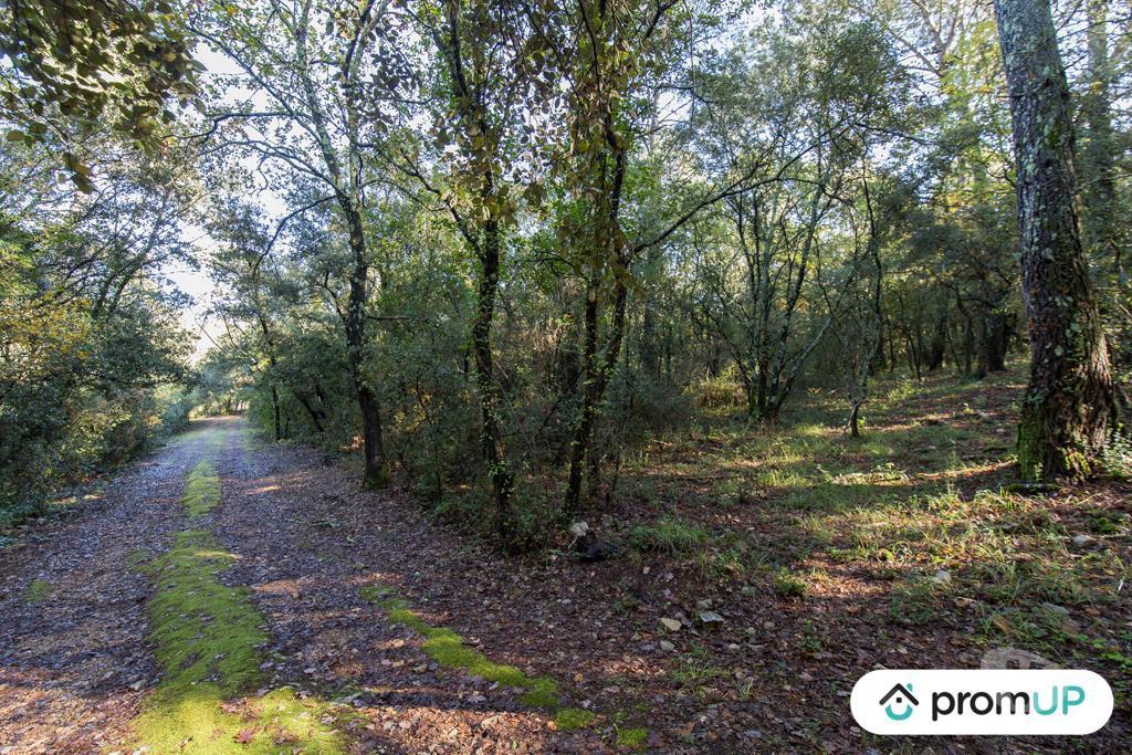 Terrain à vendre Var Le Cannet des Maures - 83340 - Photos Vivastreet (VT1120) Le Cannet-de-Maures : Terrain agricole de 9625m²