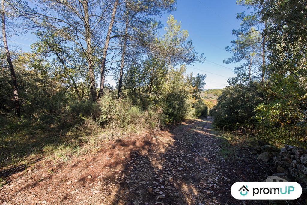 Terrain à vendre Var Le Cannet des Maures - 83340 - Photos Vivastreet (VT1120) Le Cannet-de-Maures : Terrain agricole de 9625m²