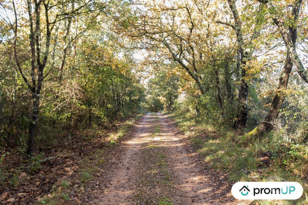 Terrain à vendre Var Le Cannet des Maures - 83340 - Photos Vivastreet (VT1120) Le Cannet-de-Maures : Terrain agricole de 9625m²