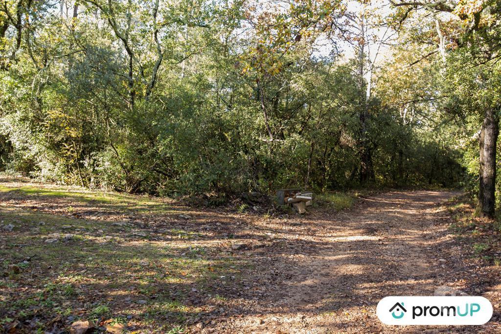 Terrain à vendre Var Le Cannet des Maures - 83340 - Photos Vivastreet (VT1120) Le Cannet-de-Maures : Terrain agricole de 9625m²