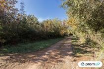 (VT1120) Le Cannet-de-Maures : Terrain agricole de 9625m²