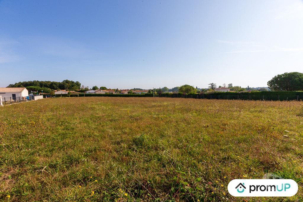 Terrain à vendre Charente-Maritime Cravans - 17260 - Photos Vivastreet (VT592) Terrain constructible de 3920m²