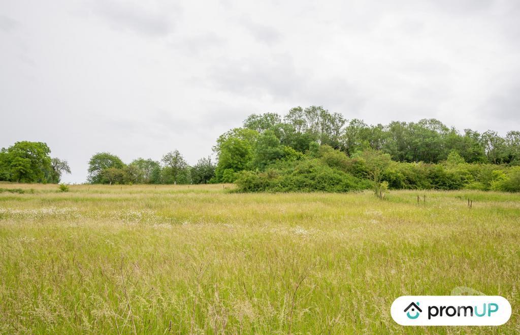Terrain à vendre Ardennes Prez - 08290 - Photos Vivastreet (VT438) Terrain de 1441m2
