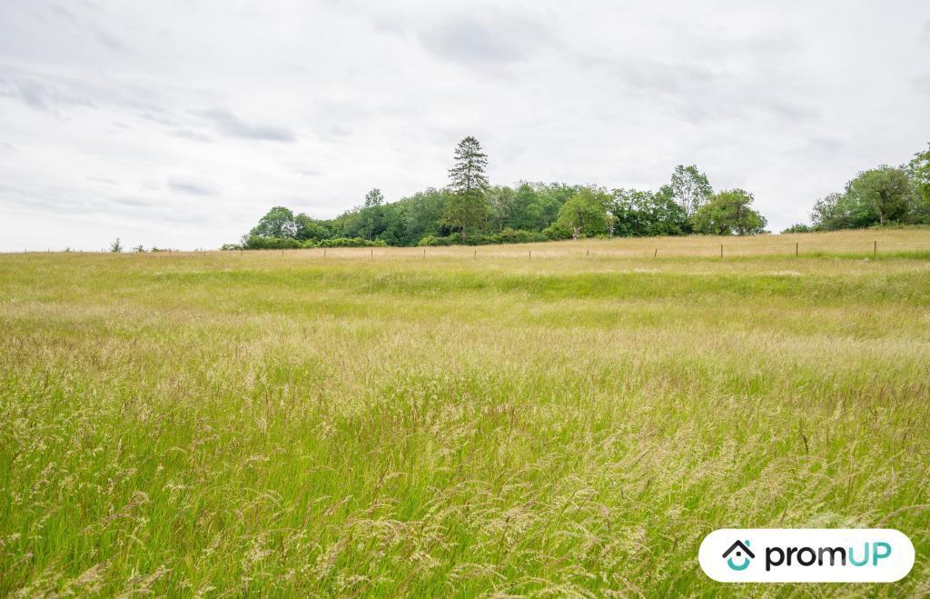 Terrain à vendre Ardennes Prez - 08290 - Photos Vivastreet (VT438) Terrain de 1441m2