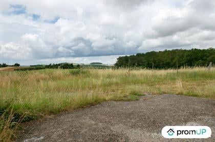 Vente Terrain Monclar Lot-et-Garonne - Photos Vivastreet (VT450) Terrain agricole de 5800 m2