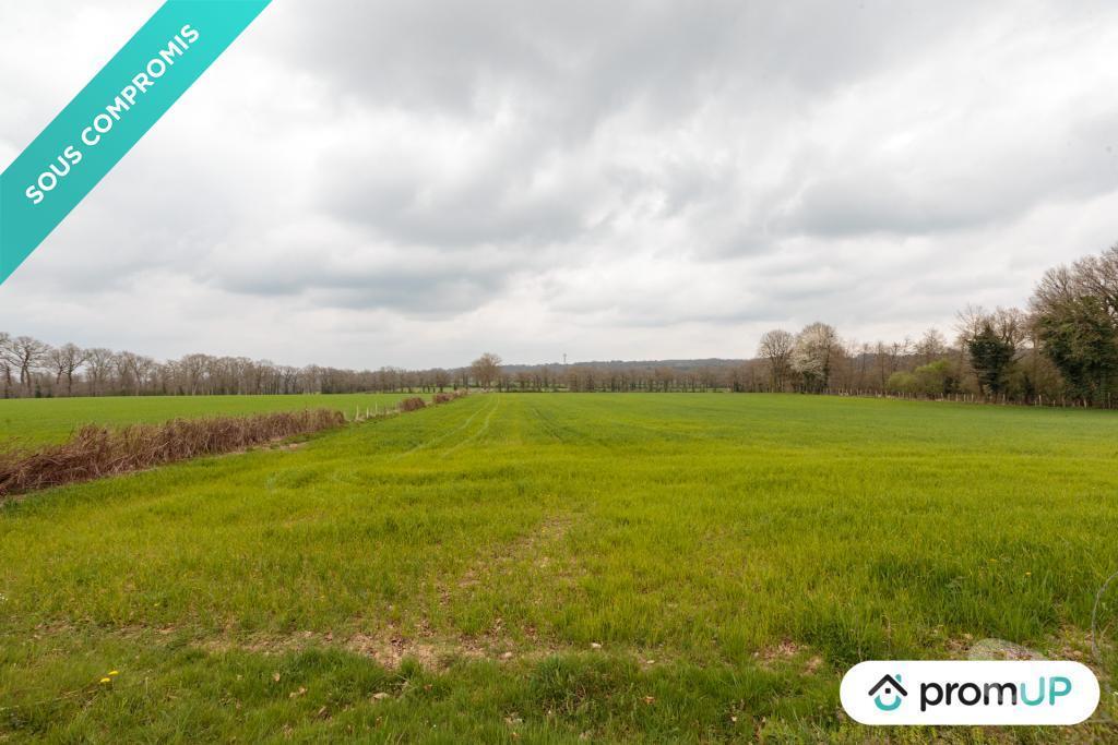 Terrain à vendre Charente Confolens - 16500 - Photos Vivastreet (VT1207) Grand terrain plat à Confolens en Charente, une cité...