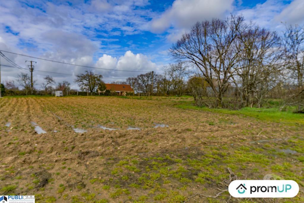 Terrain à vendre Indre Luzeret - 36800 - Photos Vivastreet (VT370) Terrain à vendre à Luzeret (36)
