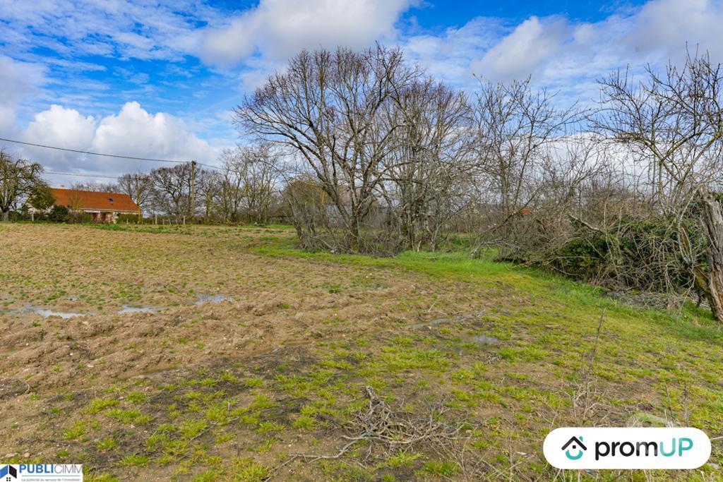 Terrain à vendre Indre Luzeret - 36800 - Photos Vivastreet (VT370) Terrain à vendre à Luzeret (36)