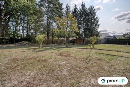 Vente Terrain Clere les Pins Indre-et-Loire - Photos Vivastreet (VT568) Terrain constructible 1 098 m²