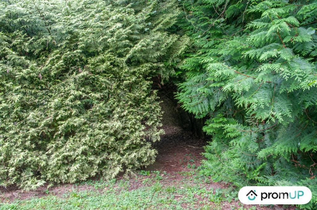 Terrain à vendre Aisne Courmelles - 02200 - Photos Vivastreet (V6040) Terrain de loisir à Courmelles