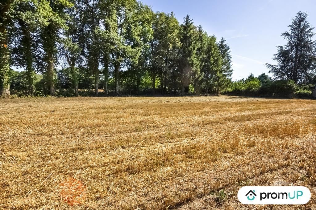 Terrain à vendre Creuse St Maurice la Souterraine - Photos Vivastreet (VT488) Terrain de 1,4623 hectare à Saint-Maurice-la-souterraine