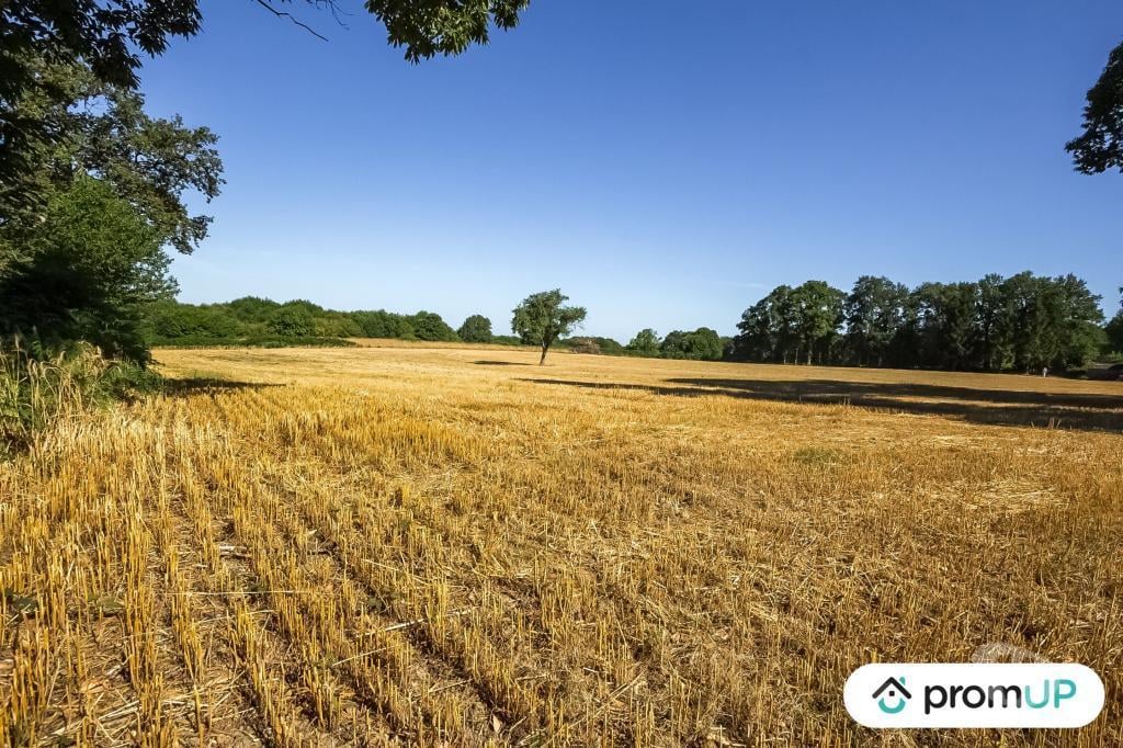 Terrain à vendre Creuse St Maurice la Souterraine - Photos Vivastreet (VT488) Terrain de 1,4623 hectare à Saint-Maurice-la-souterraine