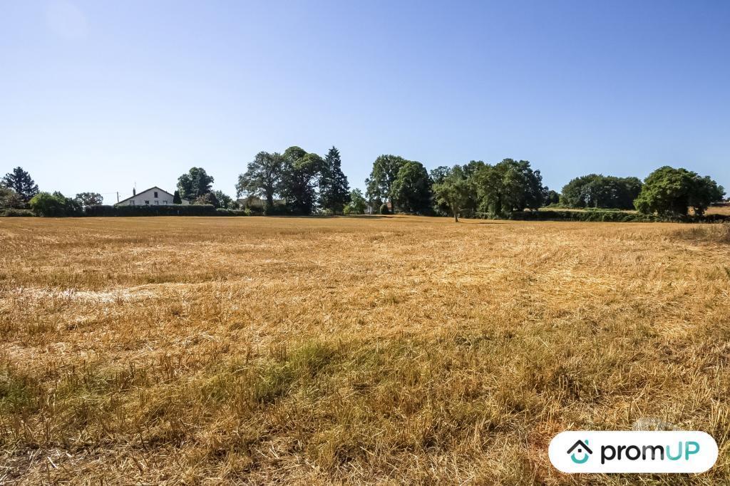 Terrain à vendre Creuse St Maurice la Souterraine - Photos Vivastreet (VT488) Terrain de 1,4623 hectare à Saint-Maurice-la-souterraine
