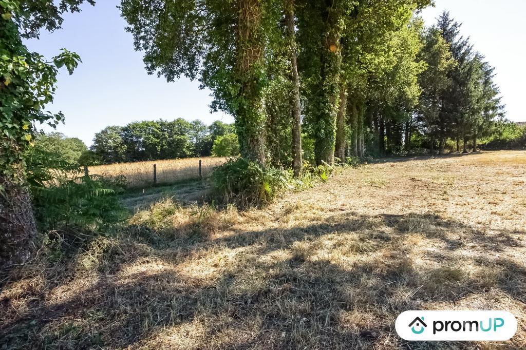 Terrain à vendre Creuse St Maurice la Souterraine - Photos Vivastreet (VT488) Terrain de 1,4623 hectare à Saint-Maurice-la-souterraine