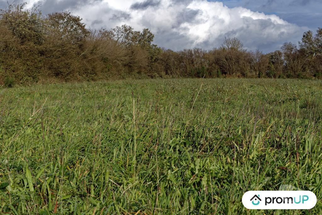 Terrain à vendre Finistère Loqueffret - 29530 - Photos Vivastreet (V6333) Terrain constructible de 5810 m2 à LOQUEFFRET