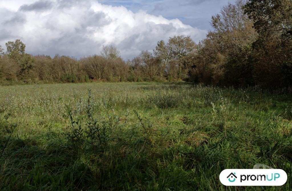 Terrain à vendre Finistère Loqueffret - 29530 - Photos Vivastreet (V6333) Terrain constructible de 5810 m2 à LOQUEFFRET
