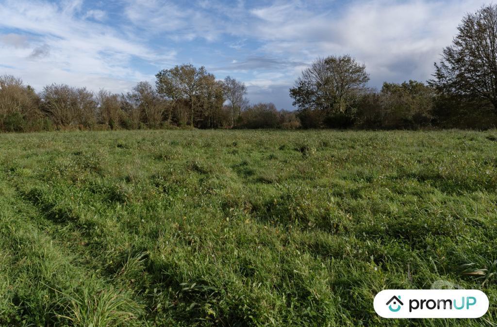 Terrain à vendre Finistère Loqueffret - 29530 - Photos Vivastreet (V6333) Terrain constructible de 5810 m2 à LOQUEFFRET