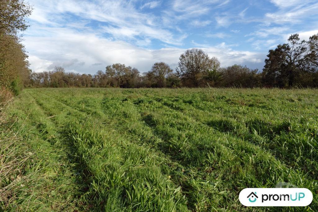 Terrain à vendre Finistère Loqueffret - 29530 - Photos Vivastreet (V6333) Terrain constructible de 5810 m2 à LOQUEFFRET