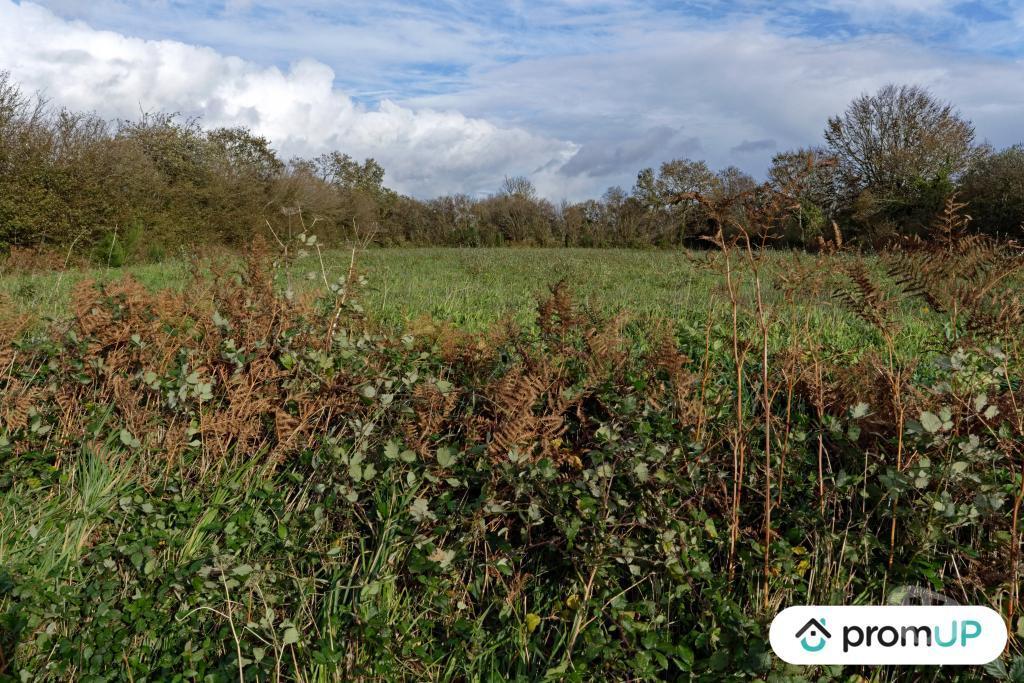 Terrain à vendre Finistère Loqueffret - 29530 - Photos Vivastreet (V6333) Terrain constructible de 5810 m2 à LOQUEFFRET