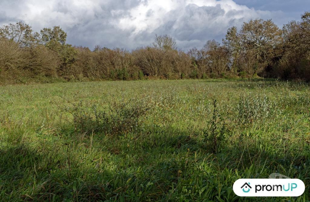 Terrain à vendre Finistère Loqueffret - 29530 - Photos Vivastreet (V6333) Terrain constructible de 5810 m2 à LOQUEFFRET