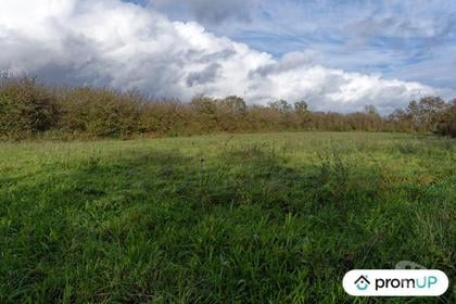 Terrain à vendre Loqueffret Finistère - Photos Vivastreet (V6333) Terrain constructible de 5810 m2 à LOQUEFFRET