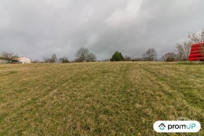 Vente Terrain Peyzac le Moustier Dordogne - Photos Vivastreet (VT306) Terrain constructible de 3 000 m²