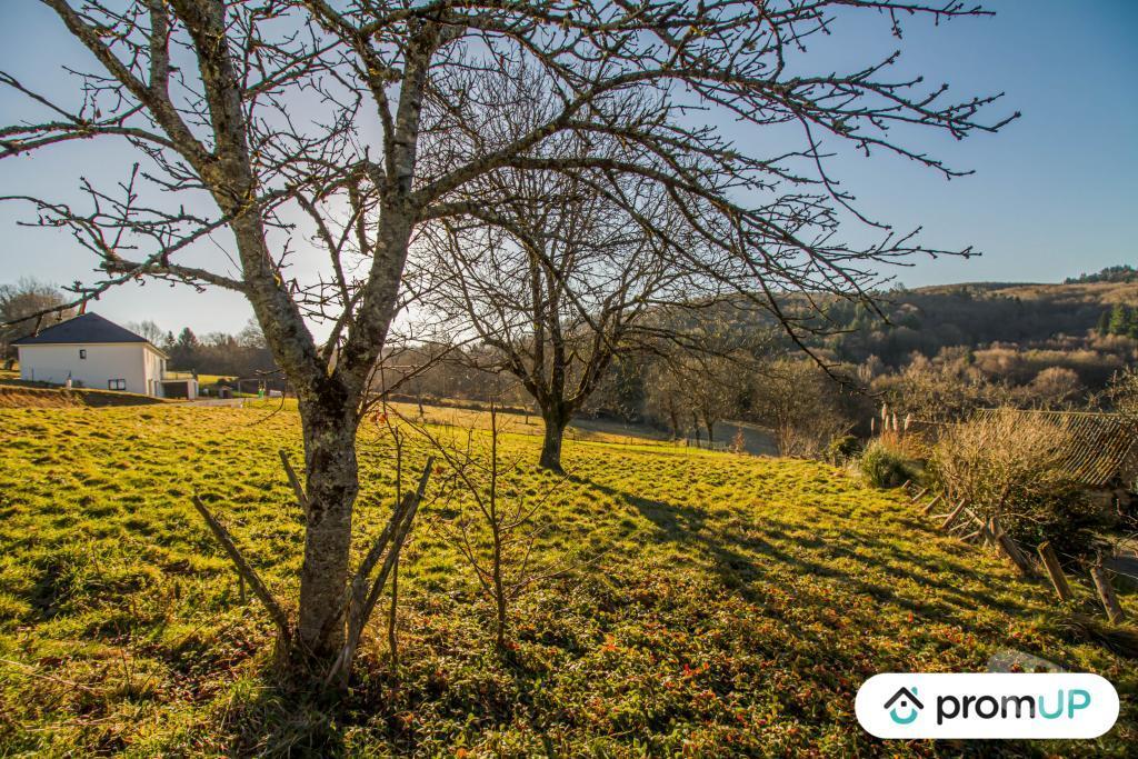 Terrain à vendre Corrèze Ste Fortunade - 19490 - Photos Vivastreet (vt1191) Terrain près de Tulle 2000 m²