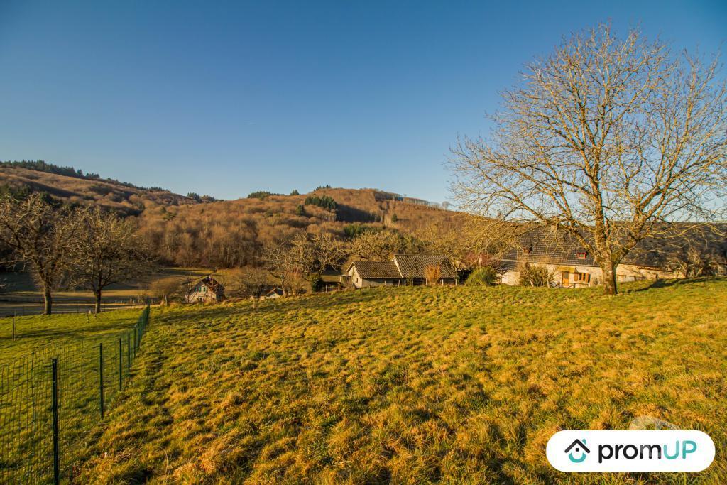 Terrain à vendre Corrèze Ste Fortunade - 19490 - Photos Vivastreet (vt1191) Terrain près de Tulle 2000 m²