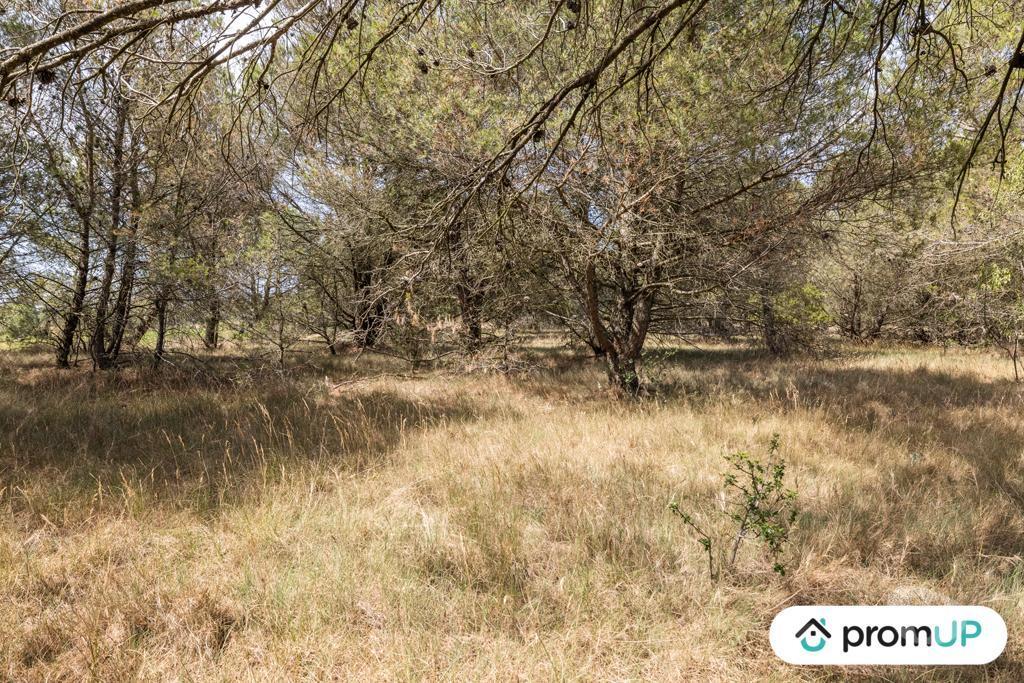 Terrain à vendre Aude Malves en Minervois - 11600 - Photos Vivastreet (VT916) Terrain boisé de 8952m²