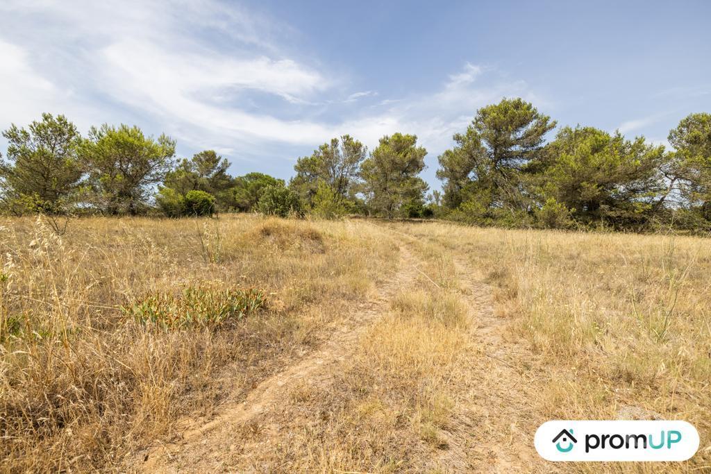 Terrain à vendre Aude Malves en Minervois - 11600 - Photos Vivastreet (VT916) Terrain boisé de 8952m²
