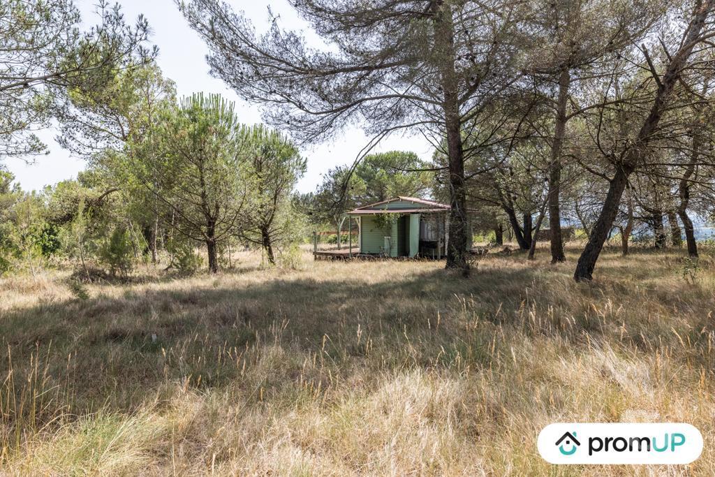 Terrain à vendre Aude Malves en Minervois - 11600 - Photos Vivastreet (VT916) Terrain boisé de 8952m²