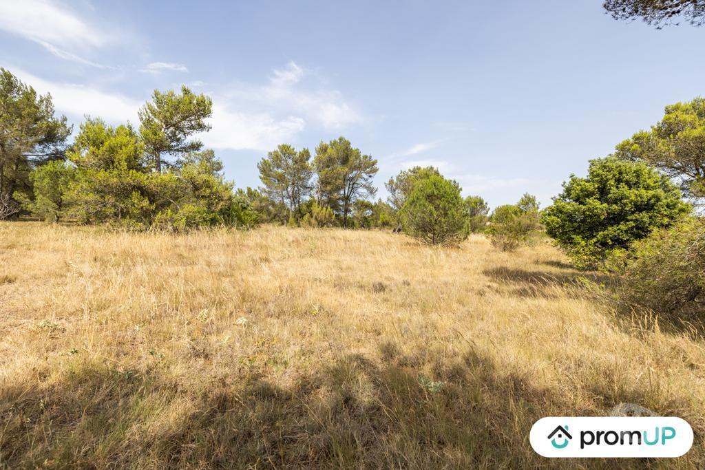 Terrain à vendre Aude Malves en Minervois - 11600 - Photos Vivastreet (VT916) Terrain boisé de 8952m²