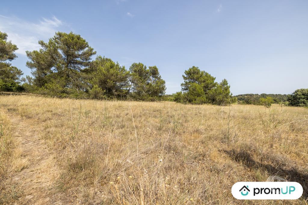 Terrain à vendre Aude Malves en Minervois - 11600 - Photos Vivastreet (VT916) Terrain boisé de 8952m²