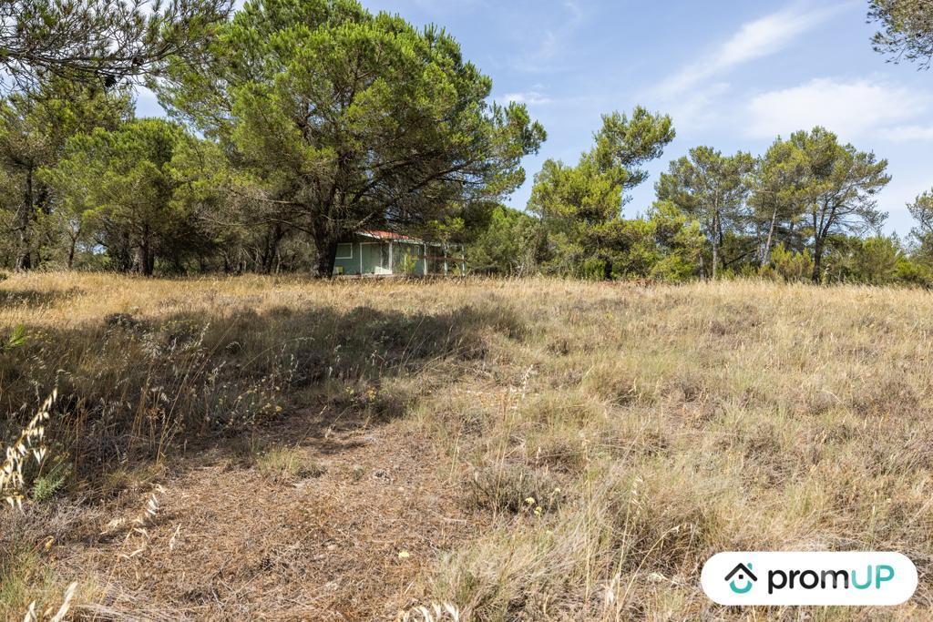 Terrain à vendre Aude Malves en Minervois - 11600 - Photos Vivastreet (VT916) Terrain boisé de 8952m²