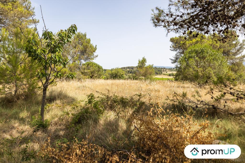 Terrain à vendre Aude Malves en Minervois - 11600 - Photos Vivastreet (VT916) Terrain boisé de 8952m²