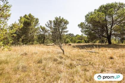 Vente Terrain Malves en Minervois Aude - Photos Vivastreet (VT916) Terrain boisé de 8952m²