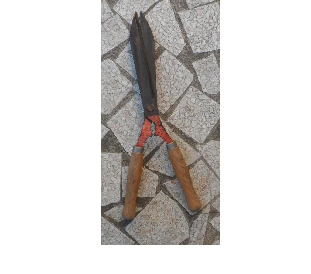  Hérault Castries - 34160 - Photos Vivastreet Taille haie Longueur totale 54 cm, Poignées longueur 20 cm 